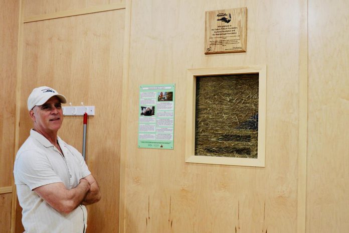 Camp Kawartha's executive director Jacob Rodenburg inside the newest addition to the camp, Birch Cabin, next to a "truth window." These small portals into the walls show the straw bale insulation holding up many of the camp's buildings and invite visitors to think about construction and consider sustainability in entirely new ways. (Photo: Rebekkah Hyams / GreenUP)