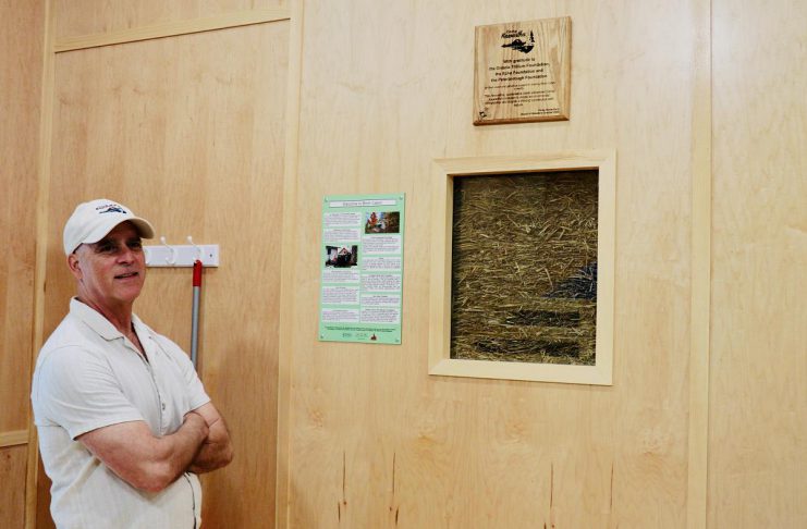 Camp Kawartha's executive director Jacob Rodenburg inside the newest addition to the camp, Birch Cabin, next to a "truth window." These small portals into the walls show the straw bale insulation holding up many of the camp's buildings and invite visitors to think about construction and consider sustainability in entirely new ways. (Photo: Rebekkah Hyams / GreenUP)