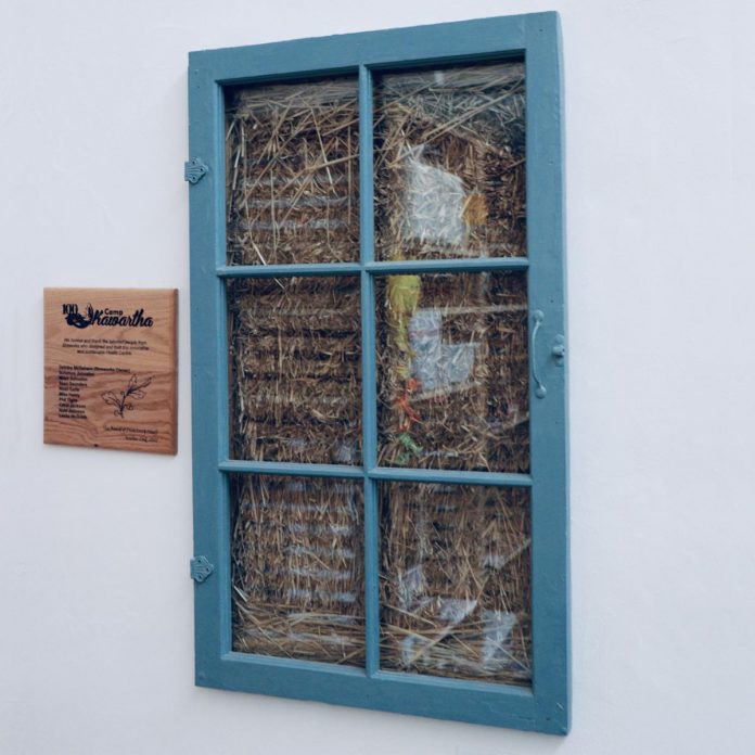 This "truth window" sits inside the Rotary Health Centre at Camp Kawartha. It's a negative carbon building, which means the materials used to build it absorbed more carbon than was emitted during construction. Executive director Jacob Rodenburg hopes Camp Kawartha can inspire other communities and regions to think about what innovative green buildings can look like. (Photo: Rebekkah Hyams / GreenUP)