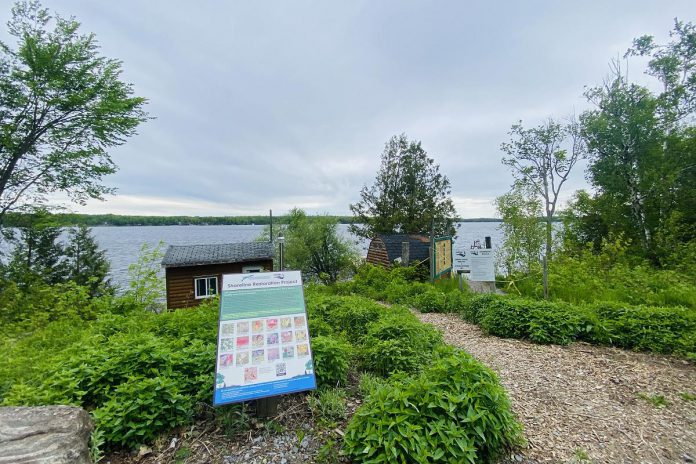 Near the cabins at Camp Kawartha, the shoreline tells its own story. In partnership with the Environment Council of Clear, Stony and White Lakes, 1,400 native trees, shrubs, and pollinator plants have been planted along 800 feet of waterfront to complement the camp's regenerative intent. (Photo: Rebekkah Hyams / GreenUP)
