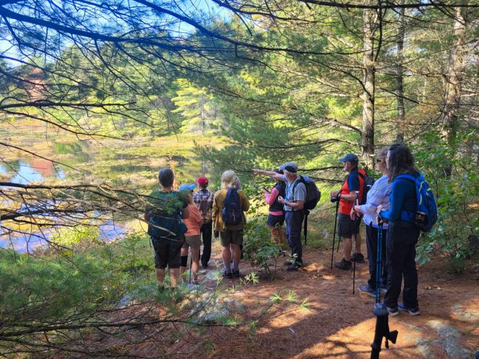 One of the most unique aspects of the annual Hike Haliburton festival is that each of the more than 35 guided hikes are led by knowledgeable and passionate local volunteers. The hikes give both visitors and locals the opportunity to learn about the history, topography, and wildlife of the Haliburton Highlands. (Photo courtesy of Haliburton County)