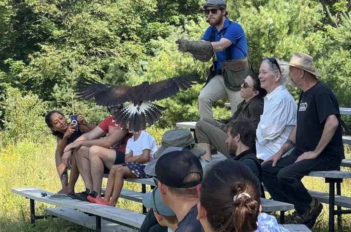 A birds of prey service in North Kawartha, The Eyrie hosts regular on-site public demonstrations inviting guests to learn about various species of birds of prey including hawks, eagles, vultures, and more. Co-owner Matthew Morgan goes right into the crowd to get visitors up close and personal with the raptors. In the winter months, The Eyrie also hosts the owl prowl, taking visitors on a walk through the trees to see and hear the nocturnal bird of prey. (Photo courtesy of The Eyrie)