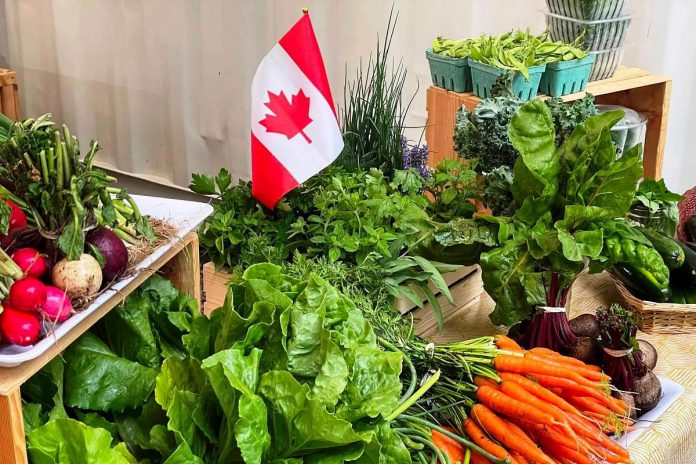 You'll find Canadian pride for locally grown food at the Fenelon Falls Farmers' Market, held on Fridays at the Old Arena Lot. The market encourages the next generation of farmers by aiming to instill a love for growing by sharing "magic beans" with children during the first market of the season. (Photo courtesy of Fenelon Falls Farmers' Market)