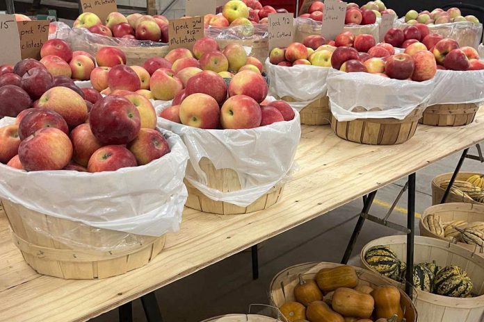 The original Peterborough Farmers' Market is one of the oldest continuously operated running farmers' markets in Ontario, having celebrated 200 years in 2025. The year-round farmers' market at Morrow Park gives back to the community by hosting a Commodities Day on the last Saturday of the month that offers free samples of select items, and donating items to Food Not Bombs after every market. (Photo courtesy of Peterborough Farmers' Market)