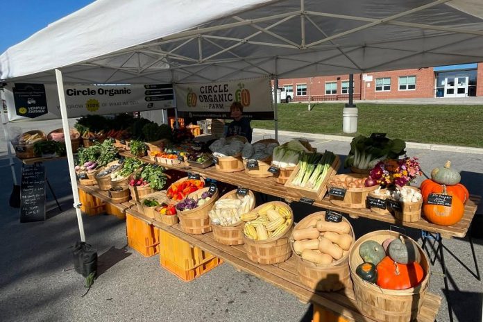 Currently being held on the last Sunday of the month, the Millbrook Farmers' Market in the parking lot of the Millbrook/South Cavan Public School hosts more than 15 vendors offering produce, baked goods, pet food, microgreens, fruit, and more. (Photo courtesy of Millbrook Farmers' Market)