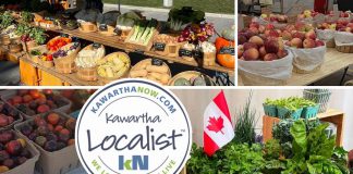 This edition of kawarthaNOW's "Kawartha Localist" editorial series features our favourite farmers' markets in the Kawarthas, including in Haliburton County, Fenelon Falls, Peterborough, Lakefield, Bancroft, Havelock, Cobourg, Millbrook, Lindsay, and Campbellford. (kawarthaNOW collage)