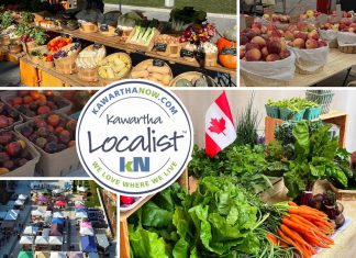 This edition of kawarthaNOW's "Kawartha Localist" editorial series features our favourite farmers' markets in the Kawarthas, including in Haliburton County, Fenelon Falls, Peterborough, Lakefield, Bancroft, Havelock, Cobourg, Millbrook, Lindsay, and Campbellford. (kawarthaNOW collage)