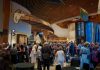 The Canadian Canoe Museum's second annual Lakeside Gala: Celebrating Excellence in the Making on October 3, 2026 features live music, local cuisine, an auction, and community connections. All proceeds from the gala support the Museum's programming and core mission priorities. (Photo courtesy of The Canadian Canoe Museum)