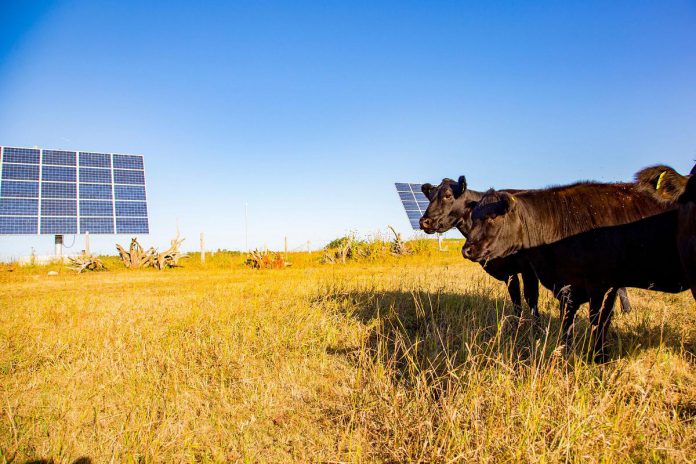 Sustainability practices have long been part of the approach of Elmhirst's Resort in Keene to successful tourism. As proud holders of the Platinum Certification from GreenStep Sustainable Tourism, one of their main priorities is to build sustainability into the guest experience itself, not tack it on afterward. With over 30 per cent of their food grown on their farm, their farm-to-table approach came naturally. (Photo: Elmhirst's Resort)