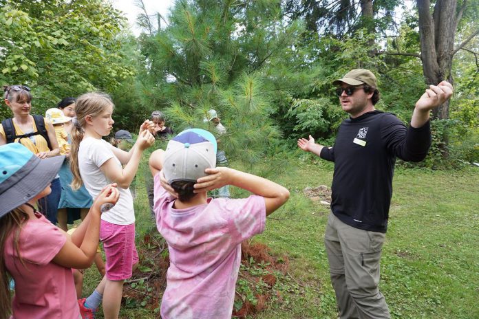 GreenUP Ecology Park program coordinator Jonathan Armstrong showed participants how to determine the age of a pine tree during a tree tour he led on Family Night at the park on Peterborough on August 27, 2026. (Photo: Alex Karn / GreenUP)