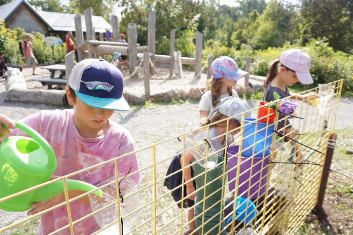 The Water Wall was one of the several pop-up nature-based activity stations offered at GreenUP Ecology Park's Family Night on August 27, 2026. Pictured are kids seeing how they can change the direction of water flow by using different containers and channels. (Photo: Alex Karn / GreenUP)