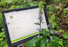 The 2026 Great Canadian Bioblitz happens from September 18 to 27, with observations recorded through the iNaturalist program. There's no cost to create an iNaturalist account or download the app, pictured in use here. GreenUP and the Peterborough Field Naturalists are hosting a kick-off to the Great Canadian Bioblitz at Ecology Park on Saturday, September 19. (Photo: Hayley Goodchild / GreenUP)
