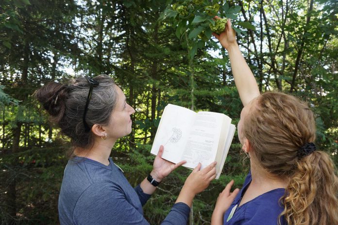 biodiversity in the garden. (Photo: Alex Karn / GreenUP)