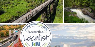 This edition of kawarthaNOW's "Kawartha Localist" editorial series features end-of-summer bucket list across the Kawarthas, including Silent Lake Provincial Park, The Canadian Canoe Museum, the Ranney Gorge Suspension Bridge, Ganaraska Forest, Algonquin Provincial Park's South Gate, Sanctuary Flower Fields, The Gut, Haliburton Sculpture Forest, Doube's Trestle Bridge, Liftlock Cruises, and more. (kawarthaNOW collage)