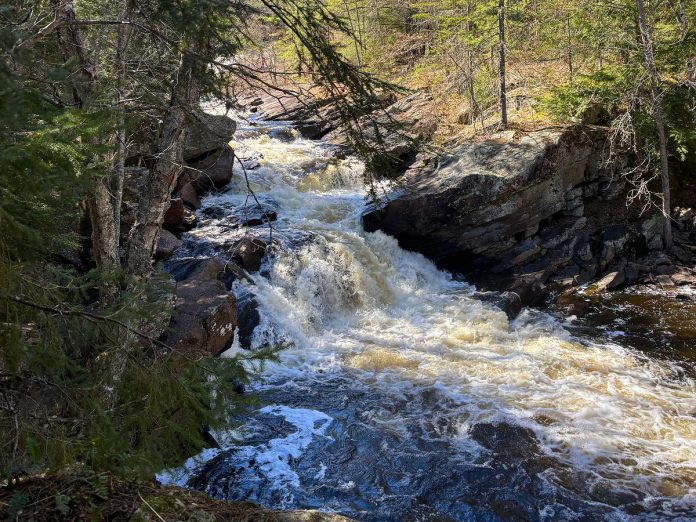 Many people are unaware that the Southern Gate of Algonquin Provincial Park is located within Haliburton County and makes for a quieter place to enjoy a scenic paddle or hike. A loved place to explore is High Falls, accessible by paddling the York River, or through a short hike accessible from Elephant Lake Road. (Photo: Megan Gallant / kawarthaNOW)