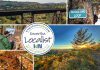 This edition of kawarthaNOW's "Kawartha Localist" editorial series features 15 destinations for scenic trails in the greater Kawarthas region, including the Northumberland County Forest, Balsam Lake Provincial Park, Eagle's Nest Park, Peter's Woods Provincial Park, Doube's Trestle Bridge, Jackson Creek Trail, Kawartha Highlands Provincial Park, Stony Lake Trails, McGeachie Conservation Area, Mark S. Burnham Provincial Park, James Cooper Lookout Trail in Haliburton Highlands, Ken Reid Conservation Area, Robert Johnston EcoForest Trails, Dahl Forest, and Trent University's Wildlife Sanctuary Nature Area in Peterborough. (kawarthaNOW collage)