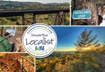 This edition of kawarthaNOW's "Kawartha Localist" editorial series features 15 destinations for scenic trails in the greater Kawarthas region, including the Northumberland County Forest, Balsam Lake Provincial Park, Eagle's Nest Park, Peter's Woods Provincial Park, Doube's Trestle Bridge, Jackson Creek Trail, Kawartha Highlands Provincial Park, Stony Lake Trails, McGeachie Conservation Area, Mark S. Burnham Provincial Park, James Cooper Lookout Trail in Haliburton Highlands, Ken Reid Conservation Area, Robert Johnston EcoForest Trails, Dahl Forest, and Trent University's Wildlife Sanctuary Nature Area in Peterborough. (kawarthaNOW collage)