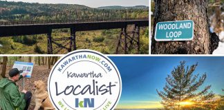 This edition of kawarthaNOW's "Kawartha Localist" editorial series features 15 destinations for scenic trails in the greater Kawarthas region, including the Northumberland County Forest, Balsam Lake Provincial Park, Eagle's Nest Park, Peter's Woods Provincial Park, Doube's Trestle Bridge, Jackson Creek Trail, Kawartha Highlands Provincial Park, Stony Lake Trails, McGeachie Conservation Area, Mark S. Burnham Provincial Park, James Cooper Lookout Trail in Haliburton Highlands, Ken Reid Conservation Area, Robert Johnston EcoForest Trails, Dahl Forest, and Trent University's Wildlife Sanctuary Nature Area in Peterborough. (kawarthaNOW collage)