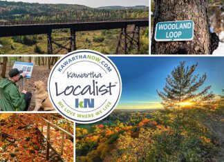This edition of kawarthaNOW's "Kawartha Localist" editorial series features 15 destinations for scenic trails in the greater Kawarthas region, including the Northumberland County Forest, Balsam Lake Provincial Park, Eagle's Nest Park, Peter's Woods Provincial Park, Doube's Trestle Bridge, Jackson Creek Trail, Kawartha Highlands Provincial Park, Stony Lake Trails, McGeachie Conservation Area, Mark S. Burnham Provincial Park, James Cooper Lookout Trail, Ken Reid Conservation Area, Robert Johnston EcoForest Trails, Dahl Forest, and Trent University's Wildlife Sanctuary Nature Area. (kawarthaNOW collage)