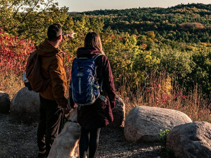 The Northumberland County Forest is home to 45 kilometres of hiking trails through forests, wetlands, and rare ecosystems. A favourite trail for viewing the fall colours is a steep 2.3-kilometre trail to Lookout Mountain which weaves through mixed forests and old pine plantations. (Photo: Northumberland County) 