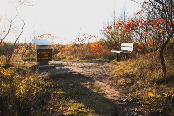 Take a scenic drive through Kawartha Lakes to get to Balsam Lake Provincial Park to enjoy a 2.1-kilometre walk through eskers and kames formed over 10,000 years ago. The lookout trail goes through mature hardwood and young mixed forests before reaching a lookout over Balsam Lake. (Photo: Balsam Lake Provincial Park / Facebook)
