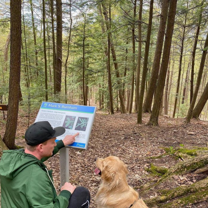 Located in Douro-Dummer just outside of Peterborough, Mark S. Burnham Provincial Park is a hidden gem in the middle of the Peterborough Drumlin Fields, which contains more than 3,000 drumlins. A 1.5-kilometre trail is home to a diverse range of plant and wildlife. (Photo: Shane Gunter) 