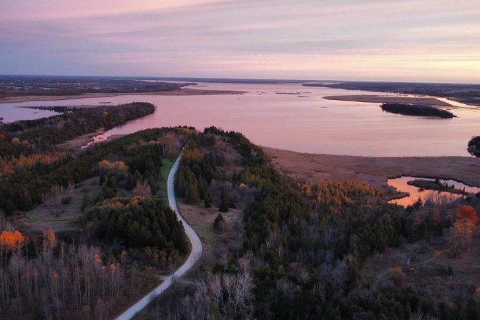 Ken Reid Conservation Area offers year-round access to 12 interconnected trails totalling close to 12 kilometres. During the fall, the must-do is the Woodland Loop which passes a floating boardwalk and the significant McLaren Marsh. (Photo: Kawartha Conservation)