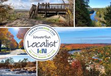 This edition of kawarthaNOW's "Kawartha Localist" editorial series features scenic destinations across the Kawarthas to enjoy the fall colours, including Skyline Park in Haliburton County, Burleigh Falls in Peterborough County, Warsaw Caves Conservation Area in Peterborough County, Eagle's Nest Park in Hastings Highlands, Windy Ridge Conservation Area and Fleetwood Creek Nature Area in Kawartha Lakes, Rice Lake in Northumberland County, Panorama Park Lookout in Haliburton County, Kamaniskeg Lake lookout in Combermere east of Hastings Highlands, and more. (kawarthaNOW collage)