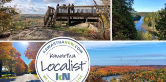 This edition of kawarthaNOW's "Kawartha Localist" editorial series features scenic destinations across the Kawarthas to enjoy the fall colours, including Skyline Park in Haliburton County, Burleigh Falls in Peterborough County, Warsaw Caves Conservation Area in Peterborough County, Eagle's Nest Park in Hastings Highlands, Windy Ridge Conservation Area and Fleetwood Creek Nature Area in Kawartha Lakes, Rice Lake in Northumberland County, Panorama Park Lookout in Haliburton County, Kamaniskeg Lake lookout in Combermere east of Hastings Highlands, and more. (kawarthaNOW collage)