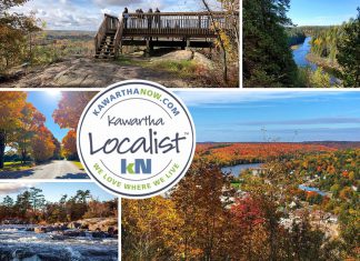 Kawartha Localist: 10 scenic spots across the Kawarthas to enjoy the fall colours This edition of kawarthaNOW's "Kawartha Localist" editorial series features scenic destinations across the Kawarthas to enjoy the fall colours, including Skyline Park in Haliburton County, Burleigh Falls in Peterborough County, Warsaw Caves Conservation Area in Peterborough County, Eagle's Nest Park in Hastings Highlands, Windy Ridge Conservation Area and Fleetwood Creek Nature Area in Kawartha Lakes, Rice Lake in Northumberland County, Panorama Park Lookout in Haliburton County, Kamaniskeg Lake lookout in Combermere east of Hastings Highlands, and more. (kawarthaNOW collage)