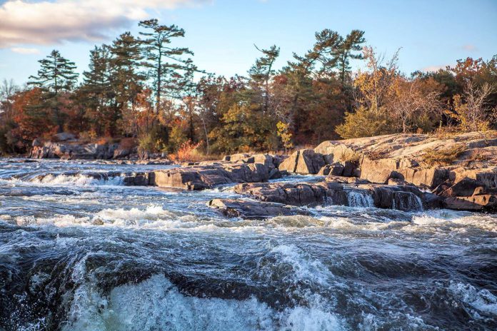A not-so-hidden gem to view the fall colours is Burleigh Falls in Peterborough County, where Lovesick Lake and Lower Buckhorn Lakes meet Stony Lake. The vibrant colours of the region can be enjoyed at nearby trails at the Petroglyphs Provincial Park and Stony Lake trails, both within a 20-minute drive east of the falls. (Photo: Peterborough County Tourism)