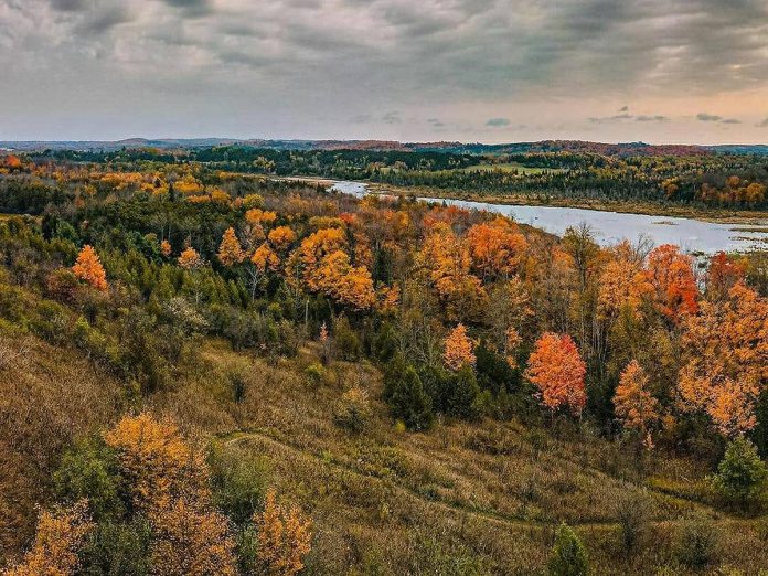 Open year-round, Windy Ridge Conservation Area is a natural landscape known for outdoor recreation including birding, skiing, snowshoeing, biking, and hiking. Just a few hundred metres from the parking lot, you'll find panoramic views from one of the tallest ridges in the area, overlooking the Oak Ridges Moraine, Hogsback Esker, Pigeon River, and Fleetwood Creek Nature Area. (Photo: Kawartha Conservation)