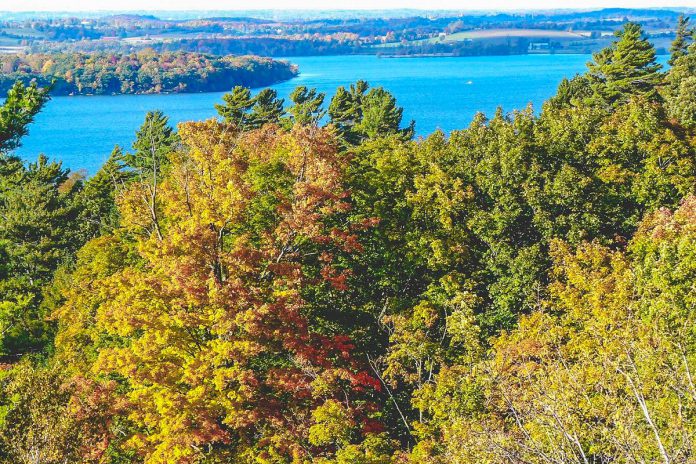 Rice Lake is a favourite location in the Kawarthas to see the changing fall colours. This year's colours are predicted to be even more vibrant due to the summer's above-average rainfall. (Photo: Northumberland Tourism)