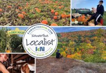 This edition of kawarthaNOW's "Kawartha Localist" editorial series features fun fall destinations across the greater Kawarthas region, including MacArthur's Pumpkin Patch in Oakwood, the Hike Haliburton festival, Applefest at Lang Pioneer Village Museum in Keene, the Apsley Autumn Studio Tour, McQuaid's County Market in Omemee, Pieter's Appleyard in Colborne, Kawartha Farmfest in Kawartha Lakes, Bragg Farms in Clarington, Pumpkinfest at Buckhorn Berry Farm, Stellmar Farm in Little Britain, the Lindsay Ex, and more. (kawarthaNOW collage)