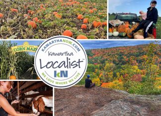 Kawartha Localist: Get ready for fall fun in the Kawarthas region This edition of kawarthaNOW's "Kawartha Localist" editorial series features fun fall destinations across the greater Kawarthas region, including MacArthur's Pumpkin Patch in Oakwood, the Hike Haliburton festival, Applefest at Lang Pioneer Village Museum in Keene, the Apsley Autumn Studio Tour, McQuaid's County Market in Omemee, Pieter's Appleyard in Colborne, Kawartha Farmfest in Kawartha Lakes, Bragg Farms in Clarington, Pumpkinfest at Buckhorn Berry Farm, Stellmar Farm in Little Britain, the Lindsay Ex, and more. (kawarthaNOW collage)