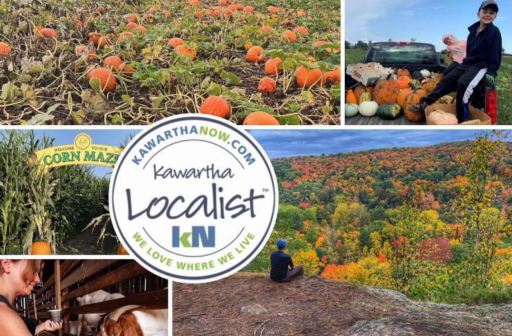 Kawartha Localist: Get ready for fall fun in the Kawarthas region This edition of kawarthaNOW's "Kawartha Localist" editorial series features fun fall destinations across the greater Kawarthas region, including MacArthur's Pumpkin Patch in Oakwood, the Hike Haliburton festival, Applefest at Lang Pioneer Village Museum in Keene, the Apsley Autumn Studio Tour, McQuaid's County Market in Omemee, Pieter's Appleyard in Colborne, Kawartha Farmfest in Kawartha Lakes, Bragg Farms in Clarington, Pumpkinfest at Buckhorn Berry Farm, Stellmar Farm in Little Britain, the Lindsay Ex, and more. (kawarthaNOW collage)