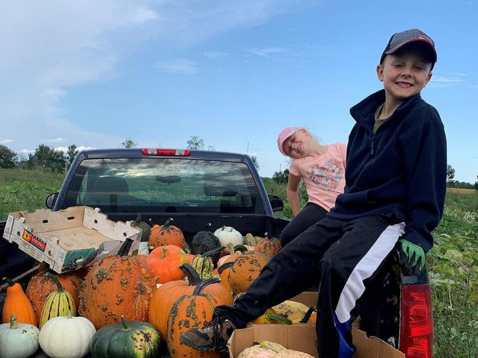 At MacArthur's Pumpkin Patch, located outside Lindsay in Oakwood, there are opportunities for families of all ages to connect with the land through fall farming experiences. Take the chance to pick a pumpkin, squash, or gourd from the acres of patches, get lost in a corn maze, or enjoy lawn games like tic tac toe, a hamster wheel, cornhole, and more. (Photo: MacArthur's Pumpkin Patch)
