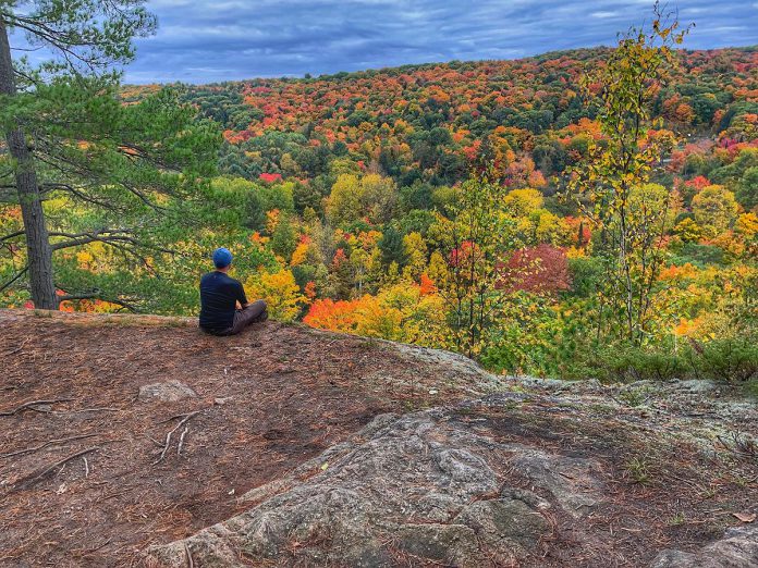 The annual award-winning Hike Haliburton festival gives hikers and outdoor enthusiasts an opportunity to view the fall colours while learning more about the Haliburton Highlands, from the flora and fauna to the history, topography, and beyond. Held in 2026 from September 17 to 20, the festival includes more than 35 guided hikes led by passionate, and knowledgeable volunteers, alongside opportunities for self-guided hikes and paid excursions from local outdoor providers. (Photo: Haliburton County)