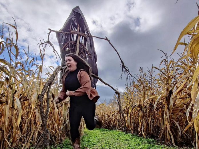 The four-acre corn maze at Stellmar Farm in Little Britain contains 35 dead ends, each marked with a scarecrow crafted by a local business. Those who complete the maze can vote on their favourite to be entered into a weekly draw for a gift package from the farm or from some of the business sponsors. On Fridays, human actors are added to the second half of the maze to make it even spookier. Stellmar Farm is also participating in Kawartha Farmfest. (Photo: Stellmar Farm)