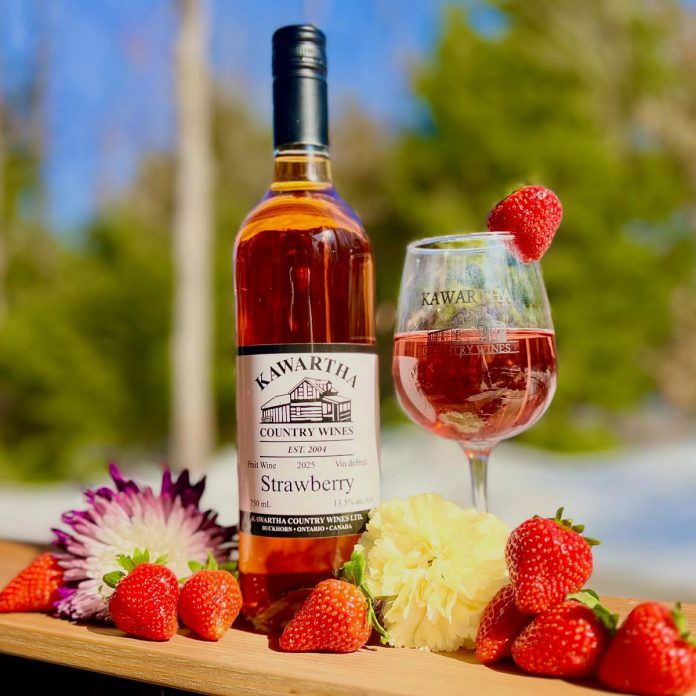 Kawartha Country Wines in Buckhorn maintains strong partnerships with local farmers to produce more than 50 varieties of fruit wines, meads, and ciders ranging from sweet to dry, with new releases coming out each year. In summer 2026, Kawartha Country Wines earned six medals at the All Canadian Wine Championships, which co-owner Donna Rufa says puts Buckhorn on the map when it comes to quality viniculture. (Photo courtesy of Kawartha Country Wines)