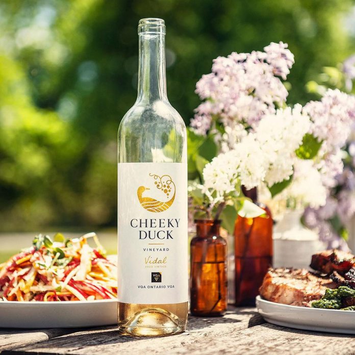 Located in Selwyn Township north of Lakefield, Cheeky Duck Vineyard is a farm-to-table dining experience with five acres of vineyard growing varieties including Baco Noir, Marquette, Vidal, Pinot Grigio, and Chardonnay. On the patio, diners can enjoy sharable plates made by live fire, paired with specialty wine-based cocktails. (Photo courtesy of Cheeky Duck Vineyard)