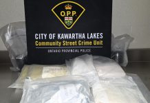 The Ontario Provincial Police (OPP) seized more than $1 million worth of potent synthetic opioids from an Omemee residence on September 14, 2026 after a six-month investigation involving the Canada Border Services Agency. A 37-year-old Emily Township man was arrested and faces several drug trafficking charges. (Photo: OPP)