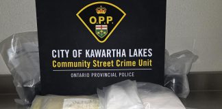 The Ontario Provincial Police (OPP) seized more than $1 million worth of potent synthetic opioids from an Omemee residence on September 14, 2026 after a six-month investigation involving the Canada Border Services Agency. A 37-year-old Emily Township man was arrested and faces several drug trafficking charges. (Photo: OPP)