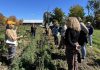 Heather Thoma, operations manager for Farms at Work, leads a plot tour at the Peterborough Community Farm in Otonabee-South Monaghan during the official launch event on October 3, 2026. (Photo courtesy of Farms at Work)