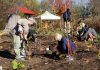 Over 20 GreenUP staff and volunteers worked together to plant a flagship Little Forest at Ecology Park on October 24, 2026. Featuring 400 native trees and shrubs, the Miyawaki-style installation is the park's latest demonstration project and help to restore canopy lost at the park in recent years. (Photo: Alex Karn / GreenUP)