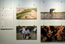 West African women’s stories bring global climate challenges into focus at Peterborough Public Library Part of the "Where Change Takes Root" photo exhibit on display at the Peterborough Public Library in downtown Peterborough until October 31, 2026. Presented by Inter Pares in collaboration with the Kawartha World Issues Centre (KWIC), the exhibit shares how women in communities in Guinea-Bissau, Senegal, and Togo are finding ways to grow food, sustain livelihoods and care for the land in the face of a changing climate. (Photo: Inter Pares / Facebook)