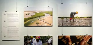 West African women’s stories bring global climate challenges into focus at Peterborough Public Library Part of the "Where Change Takes Root" photo exhibit on display at the Peterborough Public Library in downtown Peterborough until October 31, 2026. Presented by Inter Pares in collaboration with the Kawartha World Issues Centre (KWIC), the exhibit shares how women in communities in Guinea-Bissau, Senegal, and Togo are finding ways to grow food, sustain livelihoods and care for the land in the face of a changing climate. (Photo: Inter Pares / Facebook)