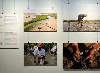 West African women’s stories bring global climate challenges into focus at Peterborough Public Library Part of the "Where Change Takes Root" photo exhibit on display at the Peterborough Public Library in downtown Peterborough until October 31, 2026. Presented by Inter Pares in collaboration with the Kawartha World Issues Centre (KWIC), the exhibit shares how women in communities in Guinea-Bissau, Senegal, and Togo are finding ways to grow food, sustain livelihoods and care for the land in the face of a changing climate. (Photo: Inter Pares / Facebook)