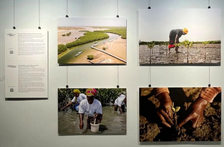 West African women’s stories bring global climate challenges into focus at Peterborough Public Library Part of the "Where Change Takes Root" photo exhibit on display at the Peterborough Public Library in downtown Peterborough until October 31, 2026. Presented by Inter Pares in collaboration with the Kawartha World Issues Centre (KWIC), the exhibit shares how women in communities in Guinea-Bissau, Senegal, and Togo are finding ways to grow food, sustain livelihoods and care for the land in the face of a changing climate. (Photo: Inter Pares / Facebook)