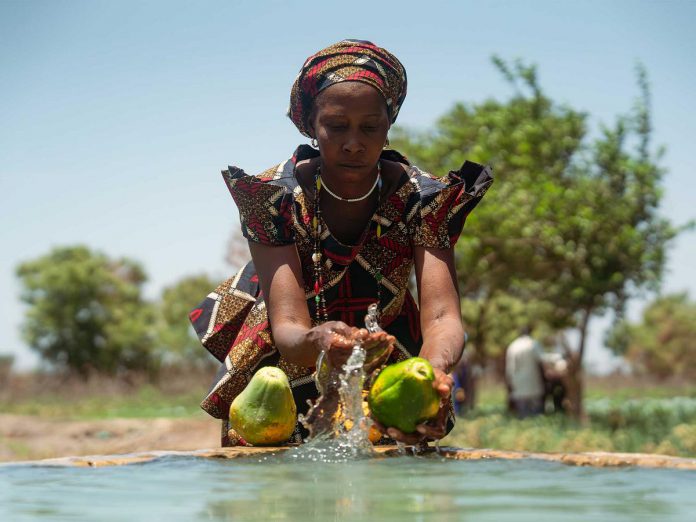In the community of Tendouk in Senegal in West Africa, Diatty Fofana rinses papayas grown in a community garden. The photo is part of the "Where Change Takes Root" photo exhibit on display at the Peterborough Public Library in downtown Peterborough until October 31, 2026. (Photo: Cherif Khoury / Inter Pares)